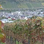 Apartament Am Bruttiger Moselsteig