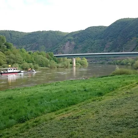 Am Bruttiger Moselsteig *