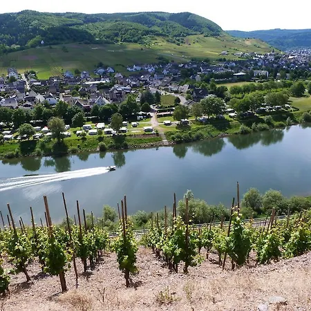 Am Bruttiger Moselsteig