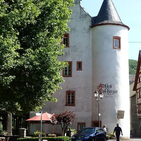 Am Bruttiger Moselsteig Apartman Bruttig-Fankel