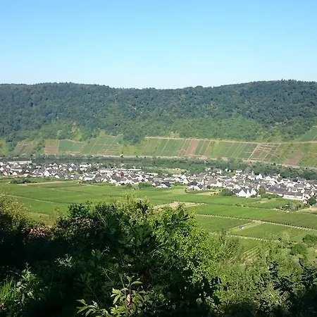 Appartement Am Bruttiger Moselsteig