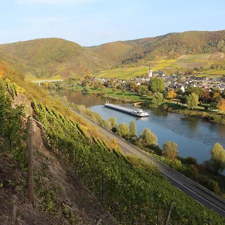 Am Bruttiger Moselsteig Bruttig-Fankel