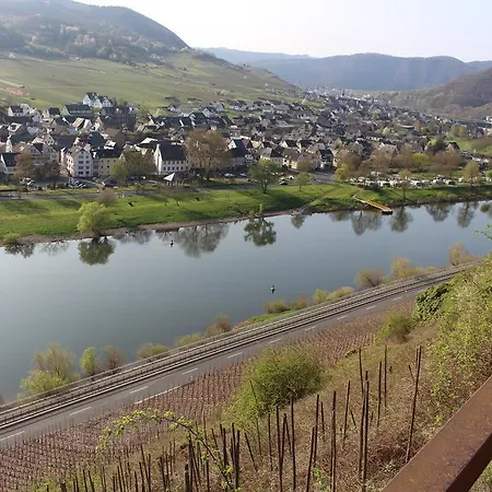 Am Bruttiger Moselsteig * Bruttig-Fankel