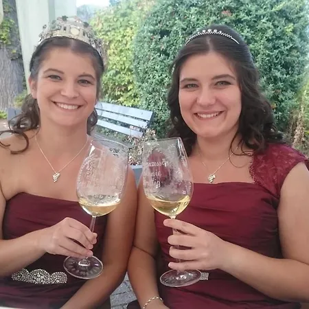 Am Bruttiger Moselsteig