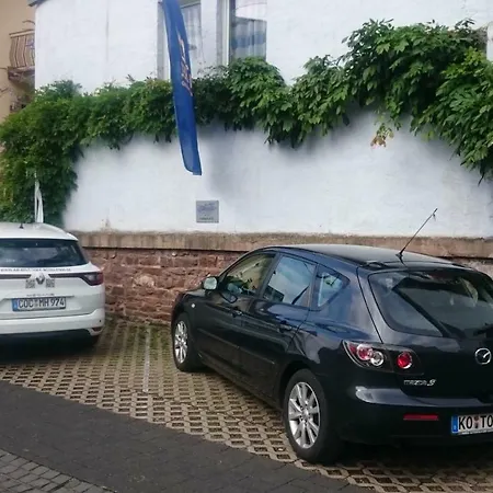 Am Bruttiger Moselsteig * Bruttig-Fankel