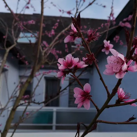 Am Bruttiger Moselsteig *