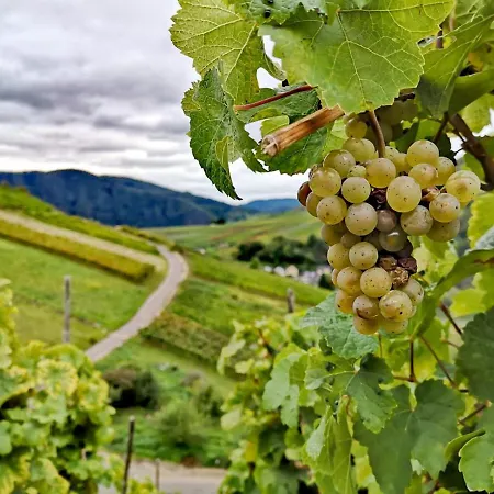 Lägenhet Am Bruttiger Moselsteig Bruttig-Fankel