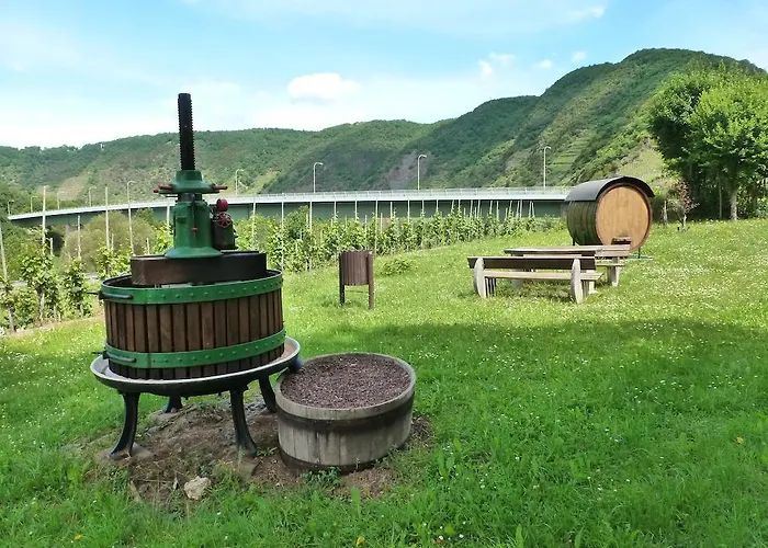 Am Bruttiger Moselsteig