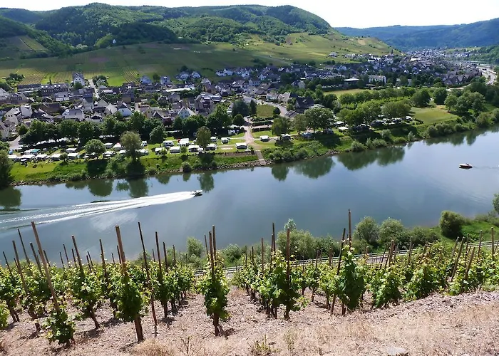 Am Bruttiger Moselsteig