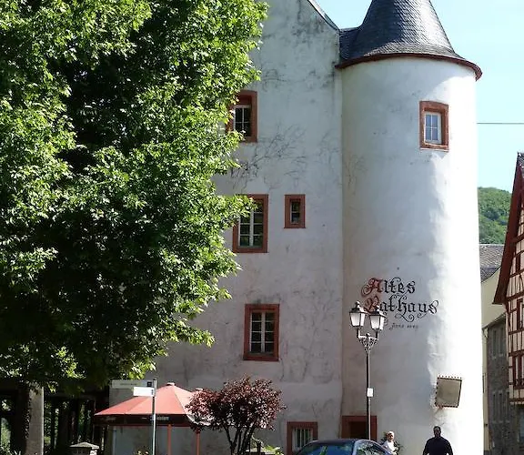 Am Bruttiger Moselsteig Appartement Bruttig-Fankel