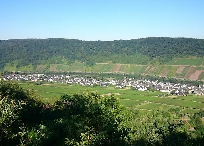 Apartamento Am Bruttiger Moselsteig