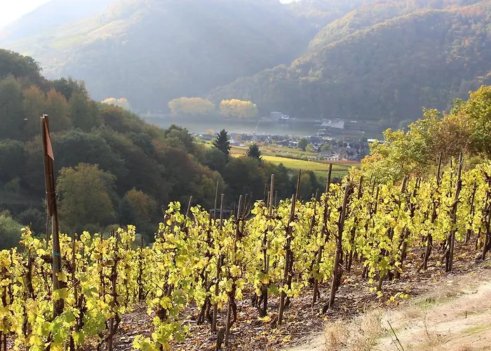 Appartement Am Bruttiger Moselsteig Bruttig-Fankel