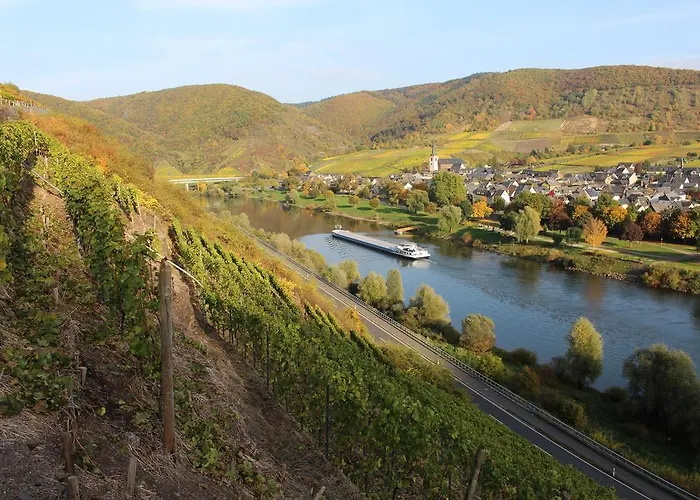 Am Bruttiger Moselsteig Bruttig-Fankel