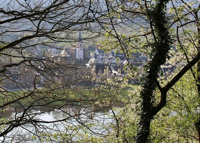 Am Bruttiger Moselsteig *