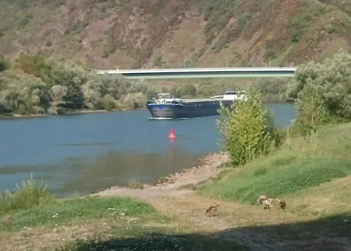 Apartamento Am Bruttiger Moselsteig *