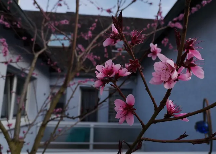 Am Bruttiger Moselsteig *