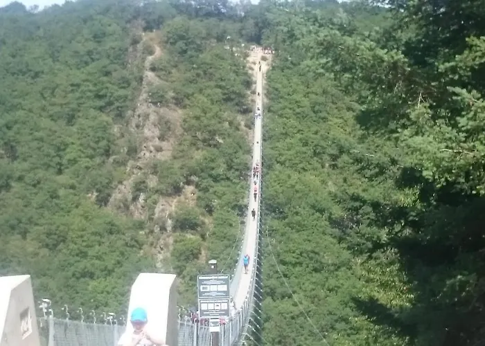 Am Bruttiger Moselsteig