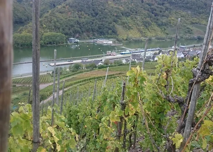 Daire Am Bruttiger Moselsteig *