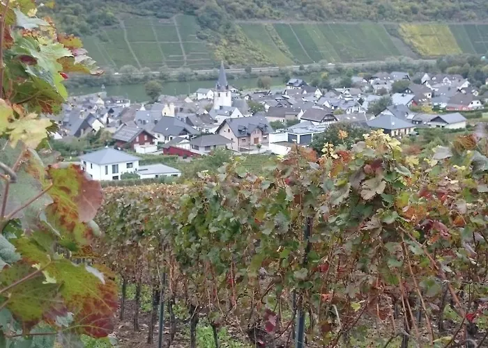 Daire Am Bruttiger Moselsteig