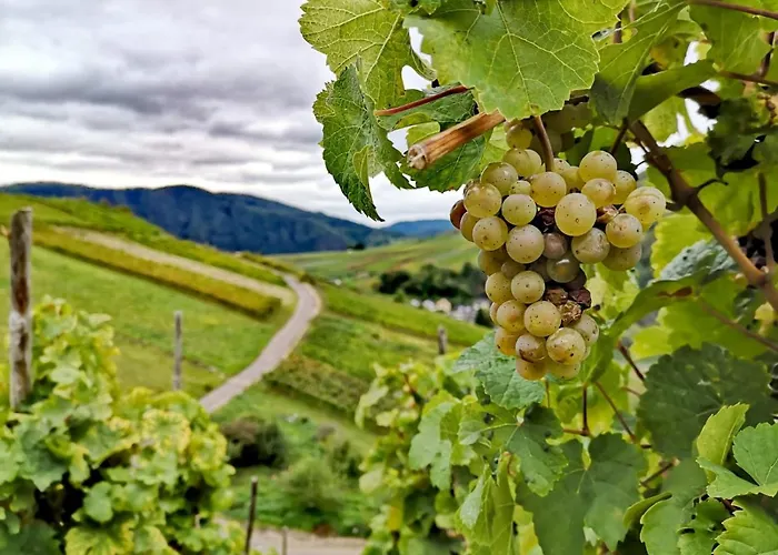 Apartamento Am Bruttiger Moselsteig Bruttig-Fankel